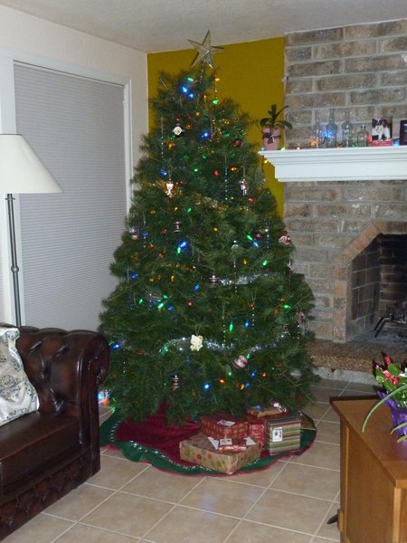 Christmas tree, installed || DMC-ZS3@6.5 | 1/30s | f3.6 | ISO640 || 2010-12-05 23:10:58