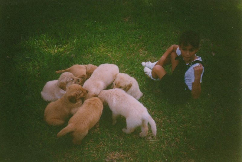 puppies_1 |