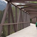 John Wayne Pioneer Trail Foot Bridge || NIKON D80/50mm f/1.8@50 | 1/125s | f5.6 | ISO100 || 2008-05-31 16:28:25